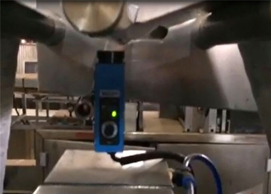 Type plat machine à emballer de boursouflure de 250E Alu Alu pour l'emballage en aluminium de double de médecine