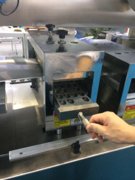 Machine à emballer de boursouflure de capsule de Tablette d'AL de DPP-260A/PVC